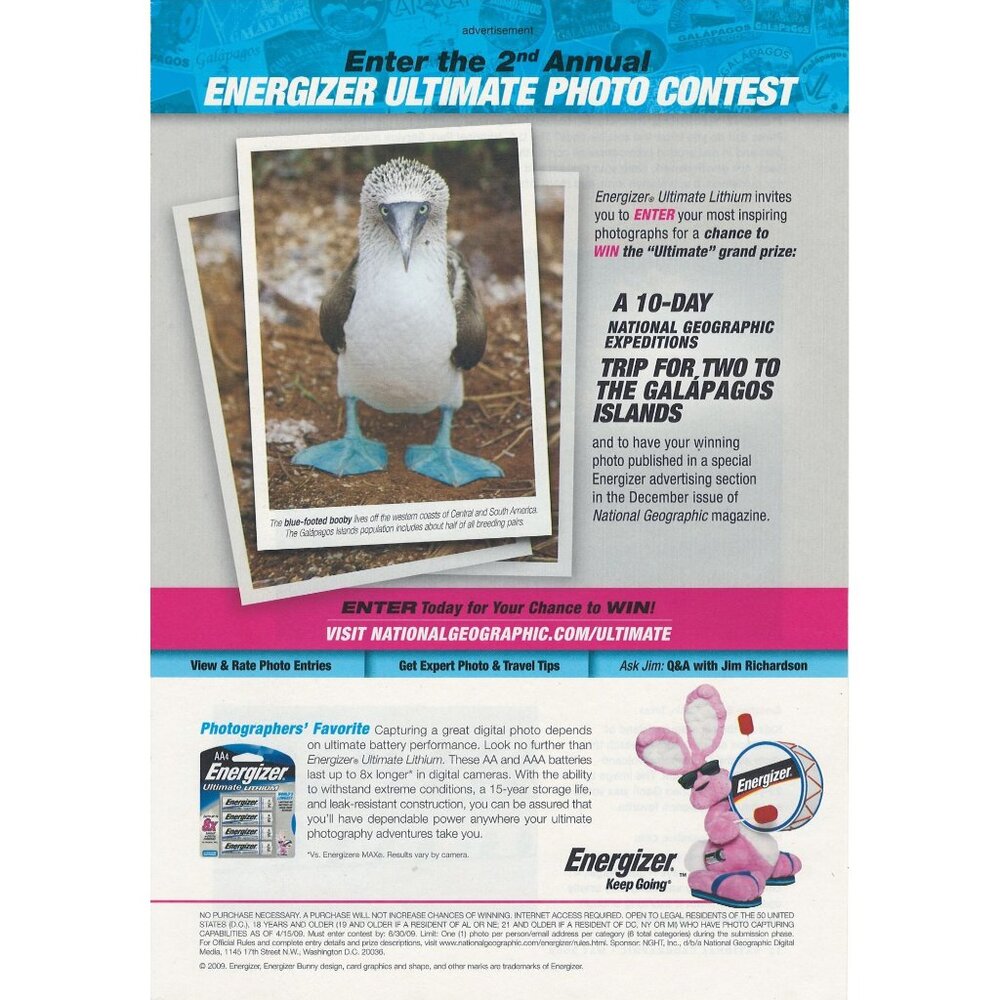 2009 Energizer Bunny Full Page Ad Original Ultimate Photo Contest u